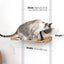 Dog Proof Cat Feeder - Wall-Mounted - Raised Elevated Natural Bamboo Natural Canvas 16" Cat Hammock Catastrophic Creations