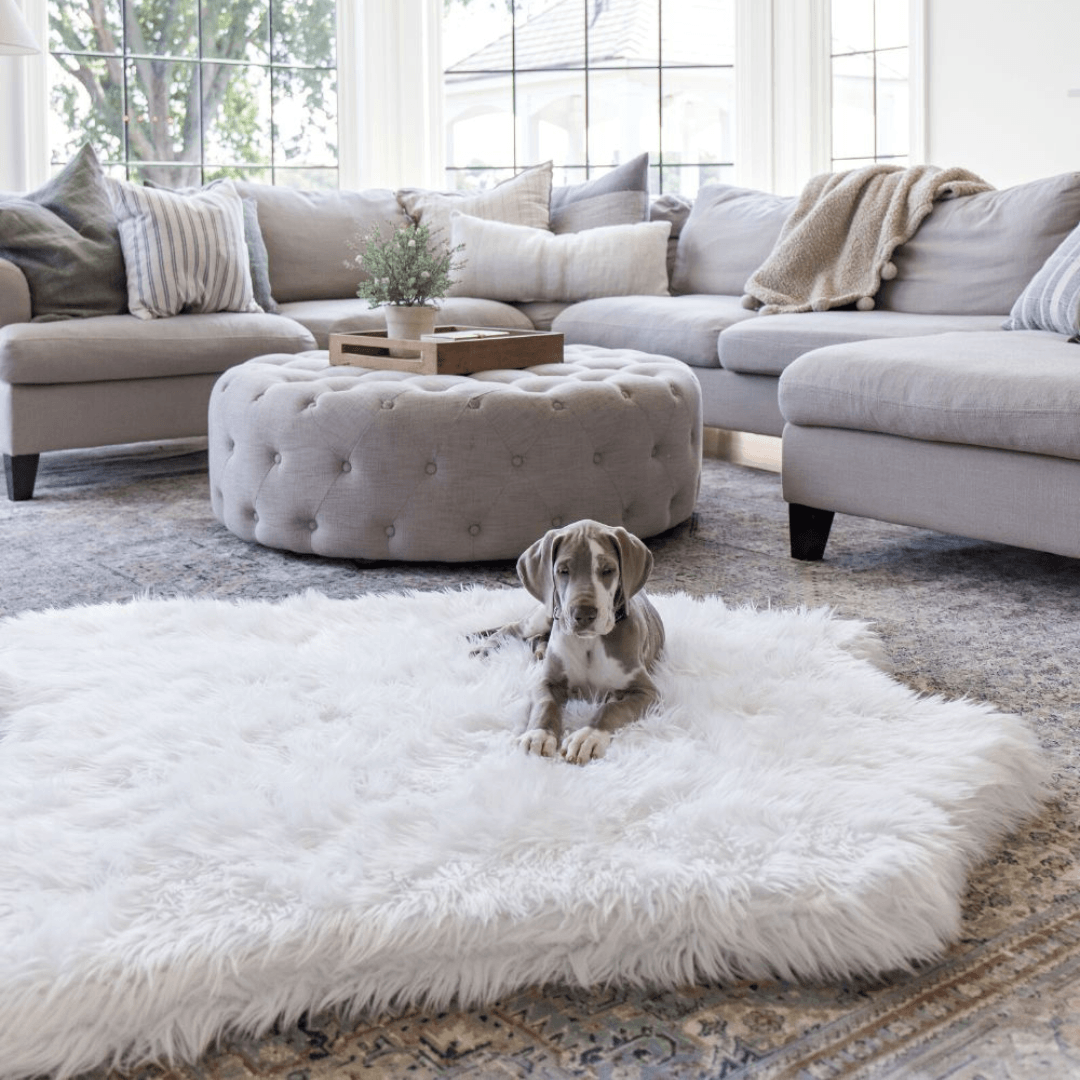 PupRug® Animal Print Memory Foam Dog Bed - Polar Bear Faux Hide Dog Beds Paw