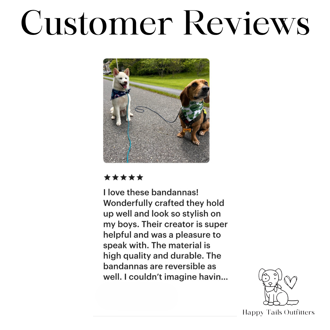 Nautical Dog Bandana New Arrivals Dog Bandana Happy Tails Outfitters