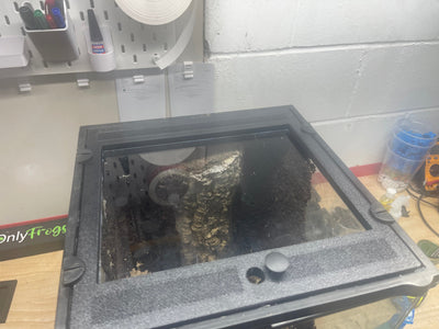 Custom Replacement Top for 12" Exo Terra Terrariums – Humidity Retaining with Fly-Proof Ventilation Thrive Ecosystems