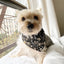 'Avery' Reversible Pet Bandana Dog Bandana BESPOKE PAWS