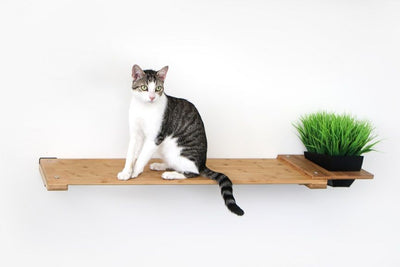 Cat Plant Stand for Wall Natural Bamboo 34" Slotted Shelf Cat shelves/bed Catastrophic Creations