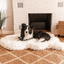 PupRug by Paw.com® Faux Fur Orthopedic Dog Bed - Curve Polar White Giant (60" L x 35" W) Dog Beds Paw
