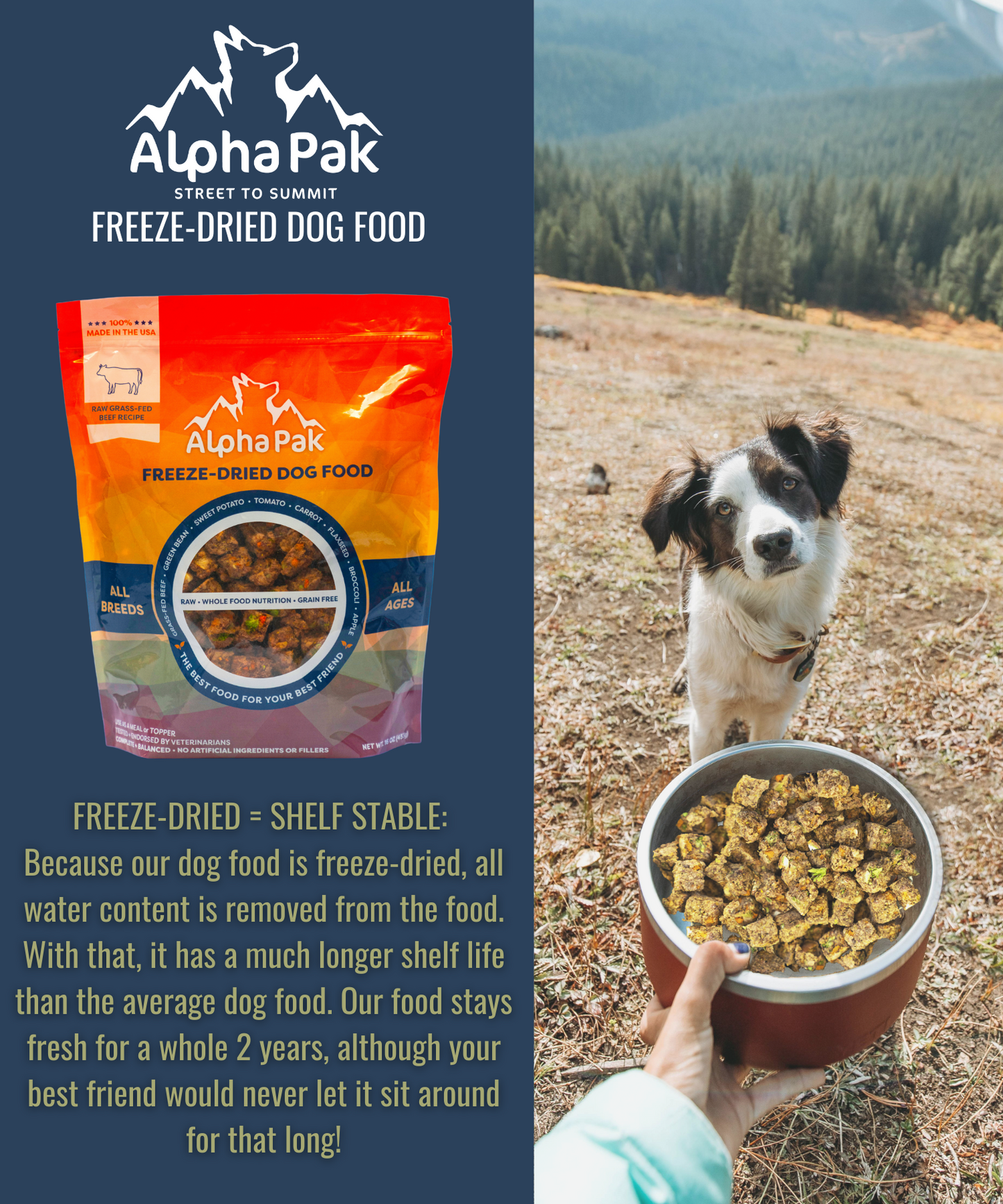 PREMIUM RAW FREEZE DRIED DOG FOOD BEEF freeze dried dog food Alpha Pak