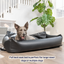 PupProtector™ Faux Leather Memory Foam Dog Car Bed - Black Travel Paw.com