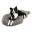PupRug by Paw.com® Faux Fur Orthopedic Dog Bed - Curve Charcoal Grey Dog Beds Paw
