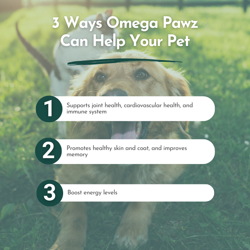 Omega Pawz - Liquid Omega 3 Oil for Dogs and Cats Animals & Pet Supplies Dr. Ruth Roberts