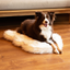 PupRug by Paw.com® Faux Fur Orthopedic Dog Bed - Curve White with Brown Accents Dog Beds Paw.com