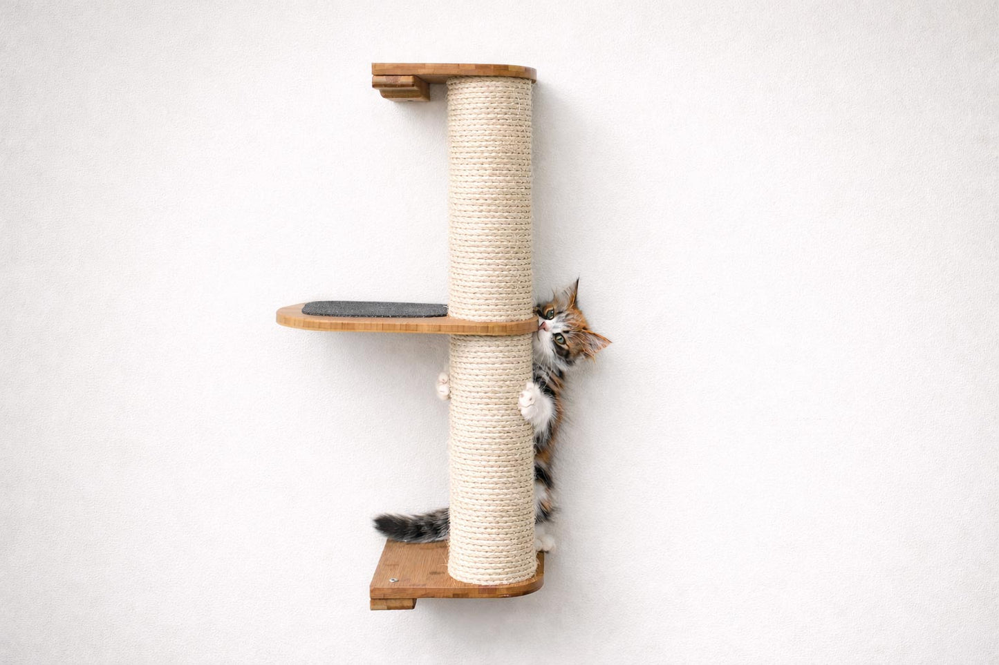 Wall Mounted Cat Climbing Pole - Sisal Natural Bamboo 2-Tier Leaf Shelf Charcoal Cork Pad Cat Scratcher Catastrophic Creations