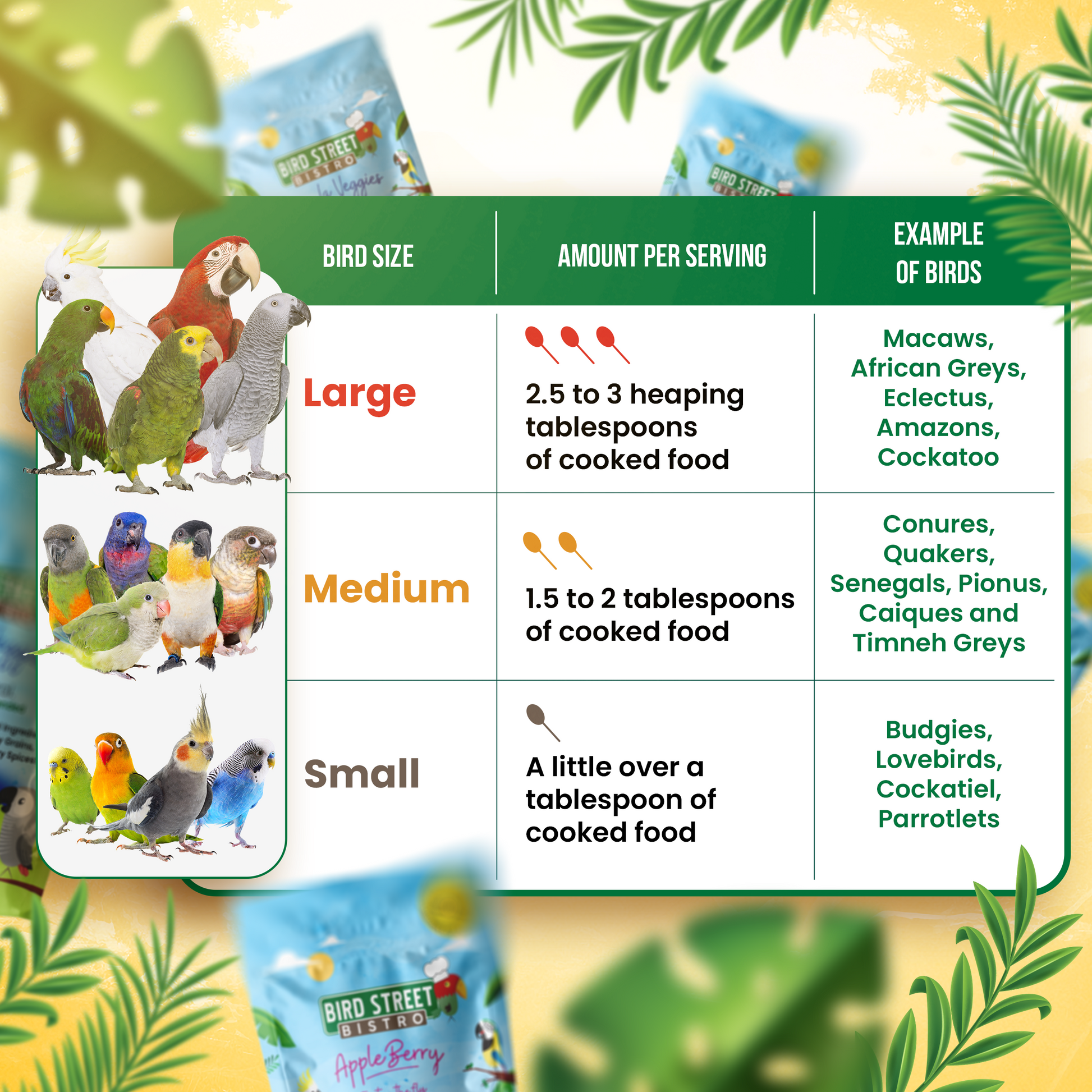 Cinnaspice Delight Parrot Food Bird Street Bistro