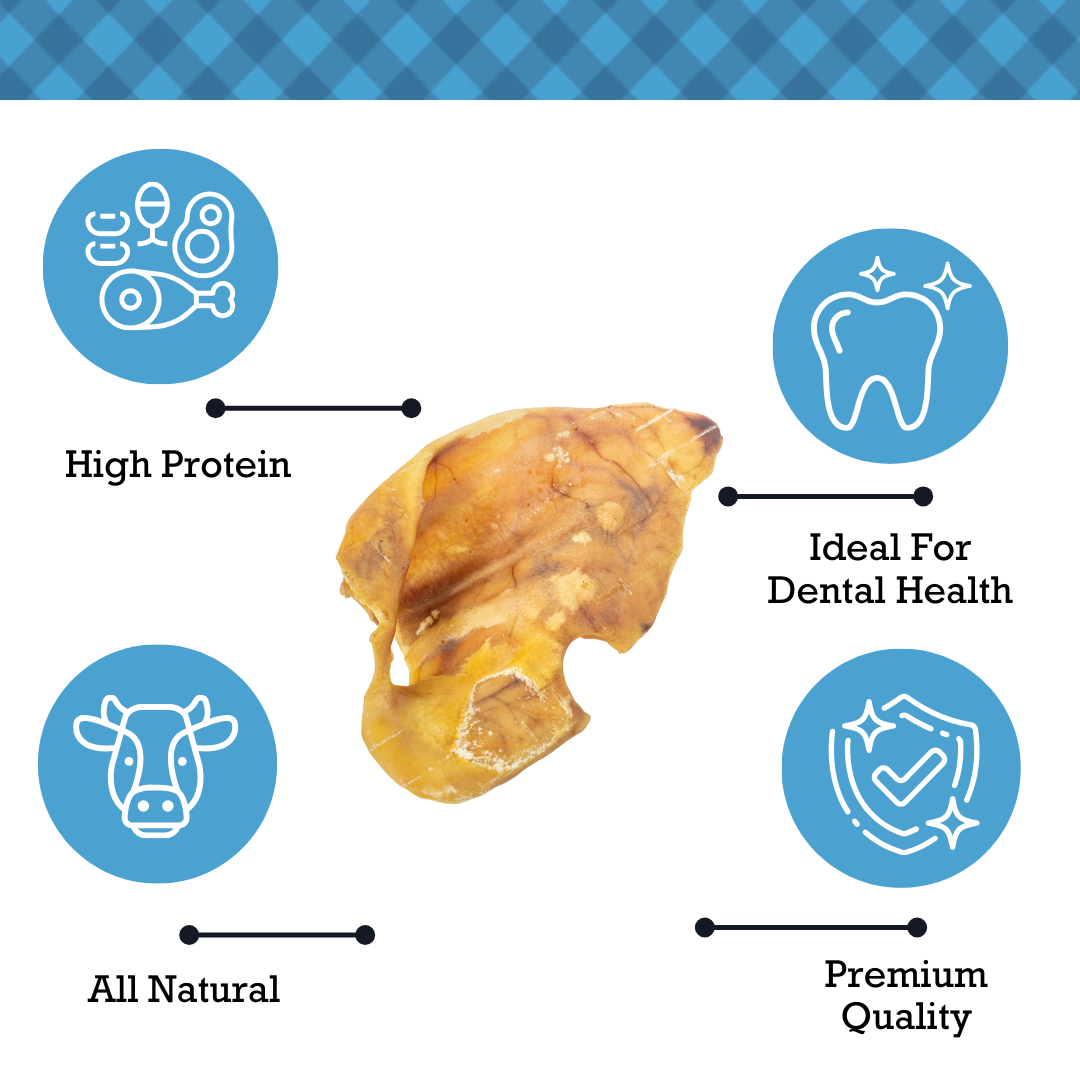 Country Living Whole Pig Ears Dog Treats – 100% Natural, Premium Pork Chews for Dental Care – (15-Pack) Dog Treats American Pet Supplies