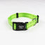Everyday Adventure Dog Collar Kiwi Green Dog Collar Alpha Pak