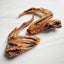 Duck Wings (ABF) 2 Pack Naked Beasts