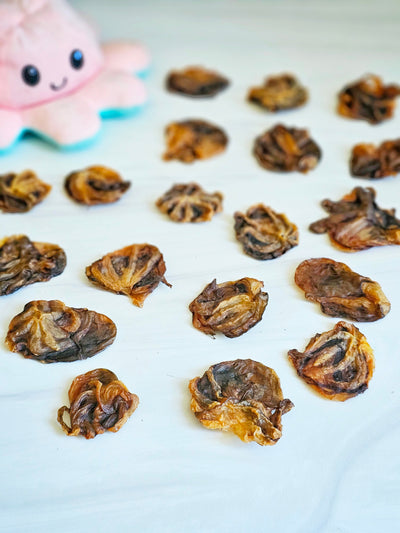 Baby Octopus (Wild Caught) Naked Beasts