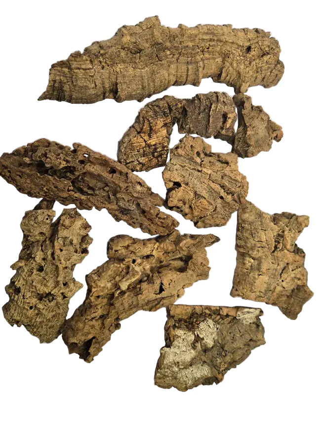 Cork Bark Shield Wall Exotics