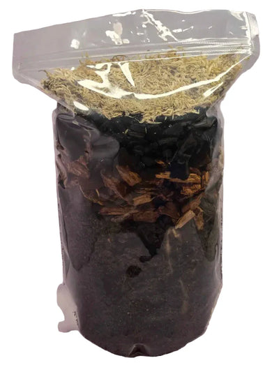 Premium Tropical Substrate - Bioactive Bedding for Tropical Species! Shield Wall Exotics