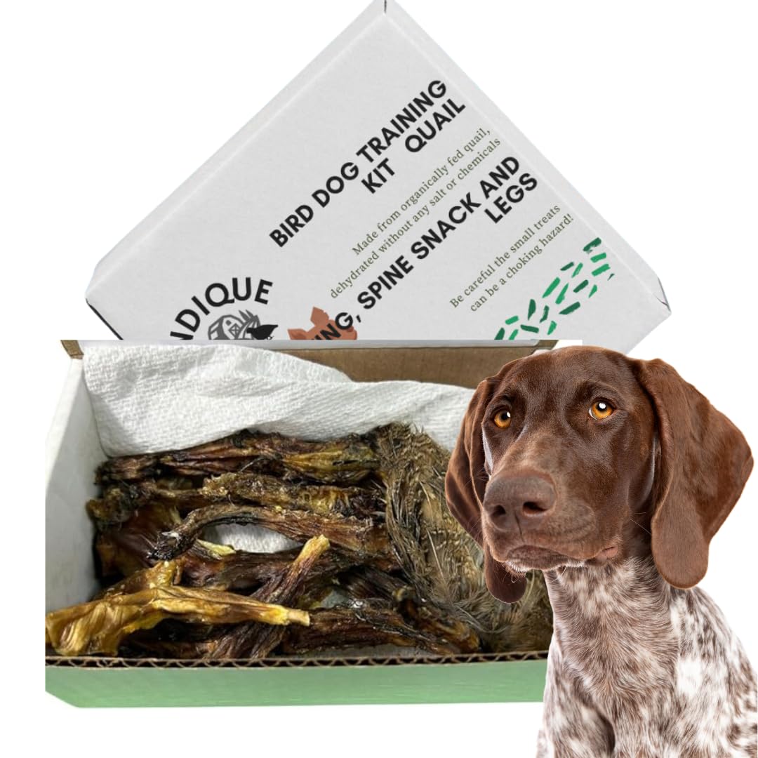 Quail Wing Dog Training Kit - Nutritious Dog Treats and Quail Wing for Effective Dog Training Sessions - Reinforce Positive Behaviors with Training Treats - Not Suitable for Small Breeds Default Title Dog Treats Quailz.com by Undique LLC