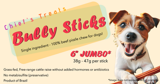 Bully Sticks 6" JUMBO | Very Low Odor | Pack of 5 | Grass-fed/Free-range