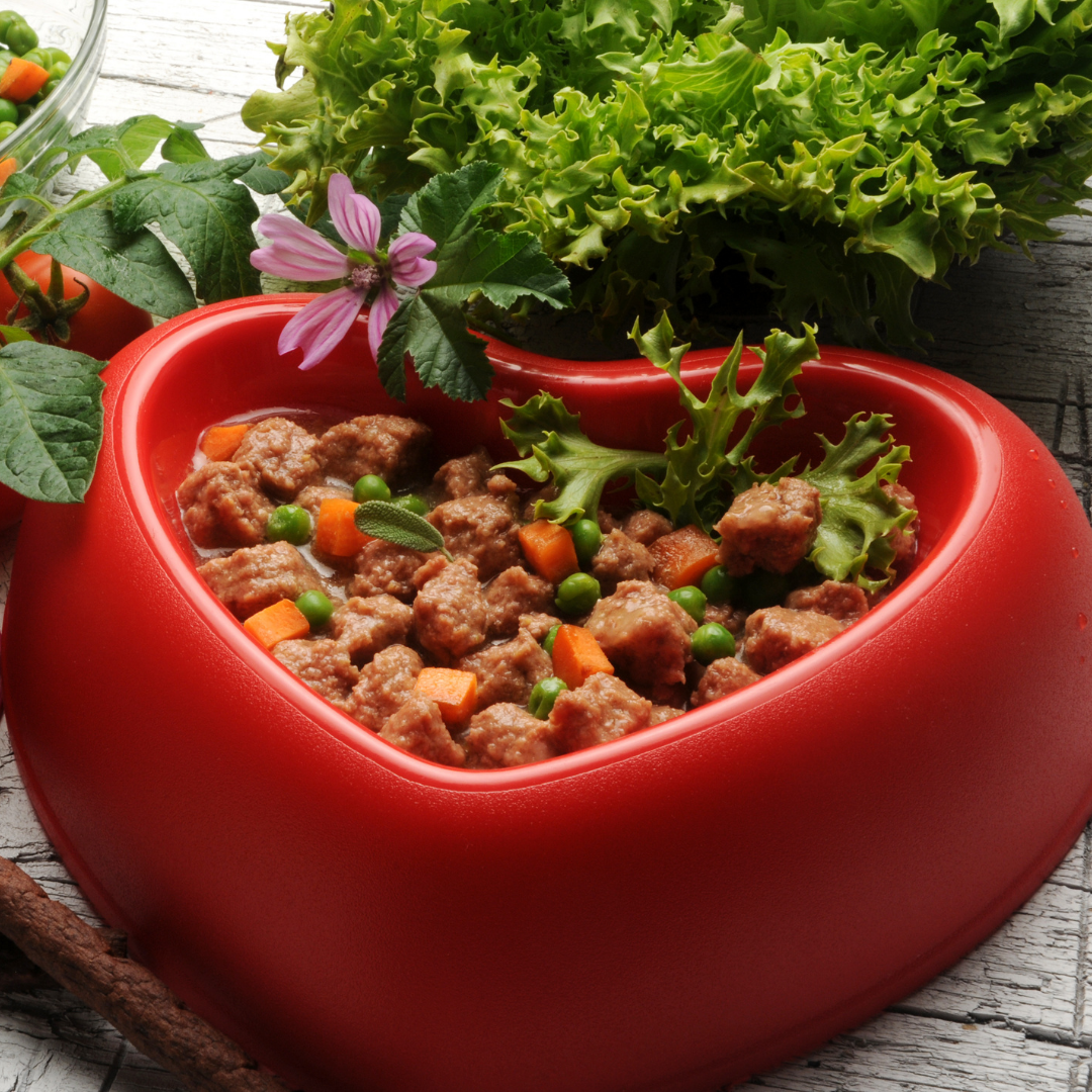 The Original Crockpet Diet™ Ebook and Recipes DIY Holistic Health Course Dr. Ruth Roberts