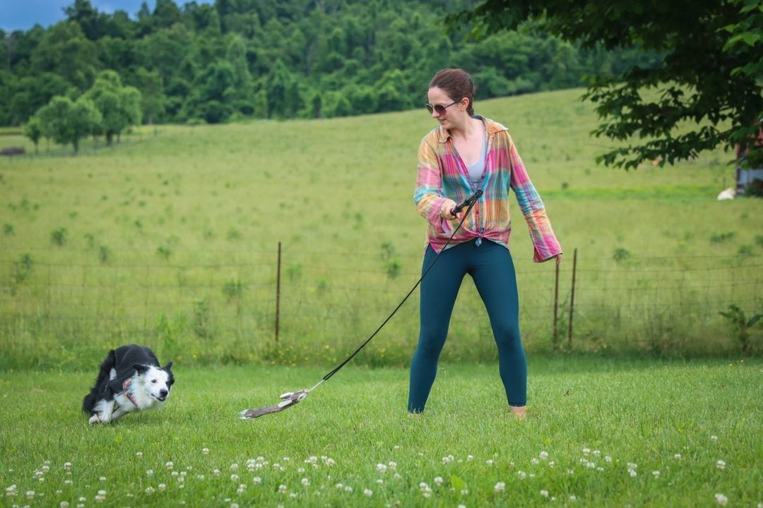 Flirt Pole + Critter Pack Bundle Enrichment Product SwiftPaws