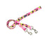 Daisy Dot Double Connection Leash – EarthStyle Standard Training Leash 2 Hounds Design