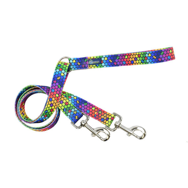ROY G BIV Double Connection Leash – EarthStyle Standard Training Leash 2 Hounds Design