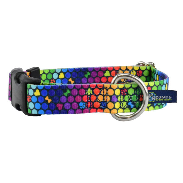ROY G BIV Dog Collar – EarthStyle 2 Hounds Design