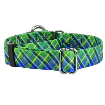 Electric Glow Green Plaid Martingale Dog Collar – EarthStyle 1 inch 2 Hounds Design