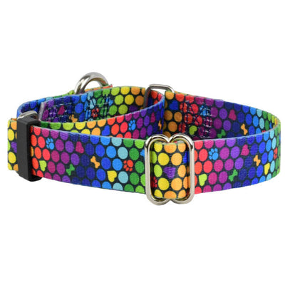 ROY G BIV Martingale Dog Collar – EarthStyle 2 Hounds Design