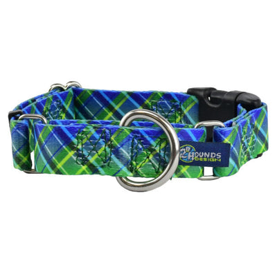 Electric Glow Green Plaid Buckle Martingale Dog Collar – EarthStyle 1 inch 2 Hounds Design