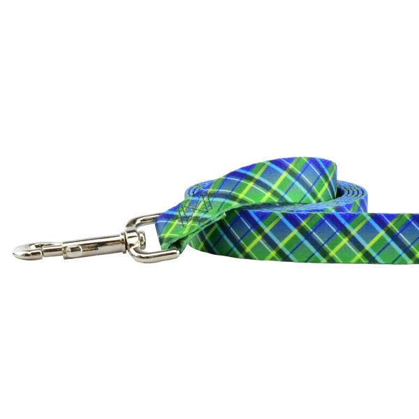 Electric Glow Green Plaid Dog Leash – EarthStyle 2 Hounds Design