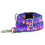 1″ Nocturnal – Fox and Mushroom Essential Martingale Dog Collar 2 Hounds Design