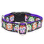 1″ XOLO – Sugar Skull Essential Buckle Martingale Dog Collar Martingale Dog Collar 2 Hounds Design