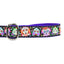 1″ XOLO – Sugar Skull Ribbon Dog Leash 2 Hounds Design