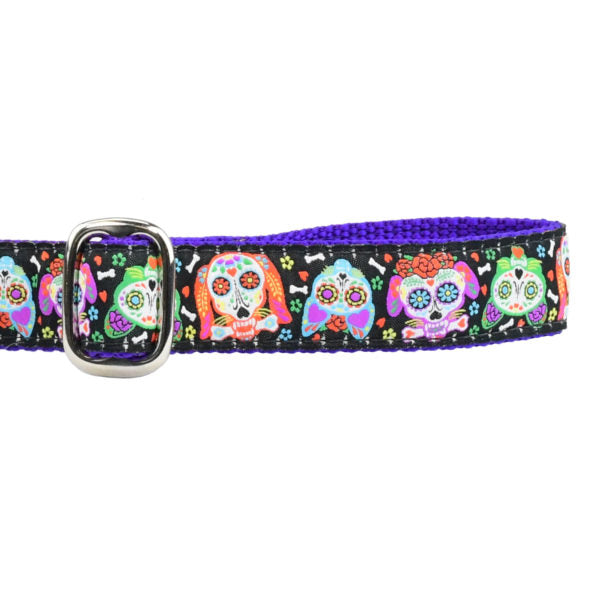 1″ XOLO – Sugar Skull Ribbon Dog Leash 2 Hounds Design
