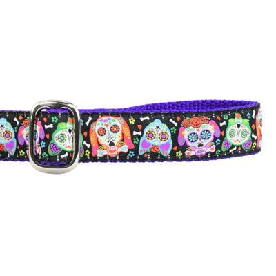 1″ XOLO – Sugar Skull Ribbon Dog Leash 2 Hounds Design
