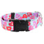 Sweet Sprinkles Heart Donut Dog Collar – EarthStyle 1 inch 2 Hounds Design
