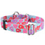 Sweet Sprinkles Heart Donut Martingale Dog Collar – EarthStyle 1 inch 2 Hounds Design