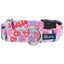 Sweet Sprinkles Heart Donut Buckle Martingale Dog Collar – EarthStyle 1 inch 2 Hounds Design