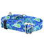 Paw Paisley Martingale Dog Collar – EarthStyle 1 inch 2 Hounds Design
