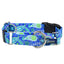 Paw Paisley Buckle Martingale Dog Collar – EarthStyle 1 inch 2 Hounds Design