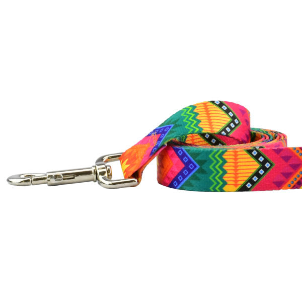 BFF (Best Friends Forever) Dog Leash – EarthStyle 2 Hounds Design