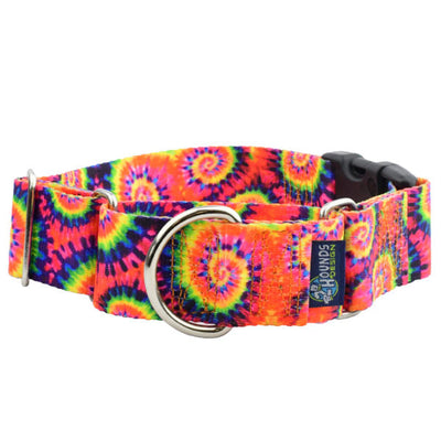 Classic Tie-Dye Buckle Martingale Dog Collar – EarthStyle 1 inch 2 Hounds Design