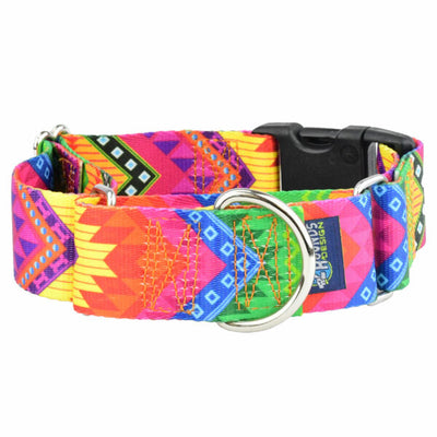 BFF (Best Friends Forever) Buckle Martingale Dog Collar – EarthStyle 1.5 inch 2 Hounds Design