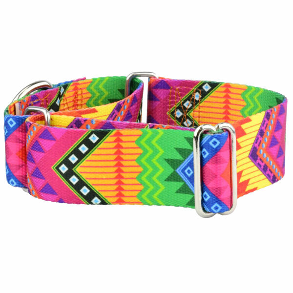 BFF (Best Friends Forever) Martingale Dog Collar – EarthStyle 1.5 inch 2 Hounds Design