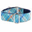 Blue Plaid Elite Velvet Martingale Dog Collar 1.5 inch wide 2 Hounds Design