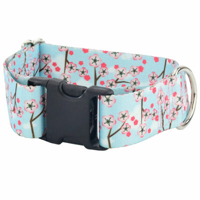Cherry Blossoms Dog Collar – EarthStyle 1.5 inch 2 Hounds Design