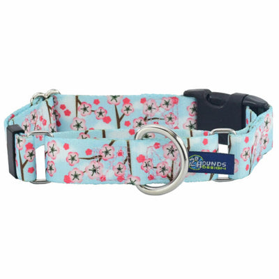 Cherry Blossoms Buckle Martingale Dog Collar – EarthStyle 1 inch 2 Hounds Design