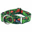 Holiday Paisley Martingale Dog Collar – EarthStyle 1 inch 2 Hounds Design