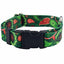 Holiday Paisley Dog Collar – EarthStyle 1 inch 2 Hounds Design